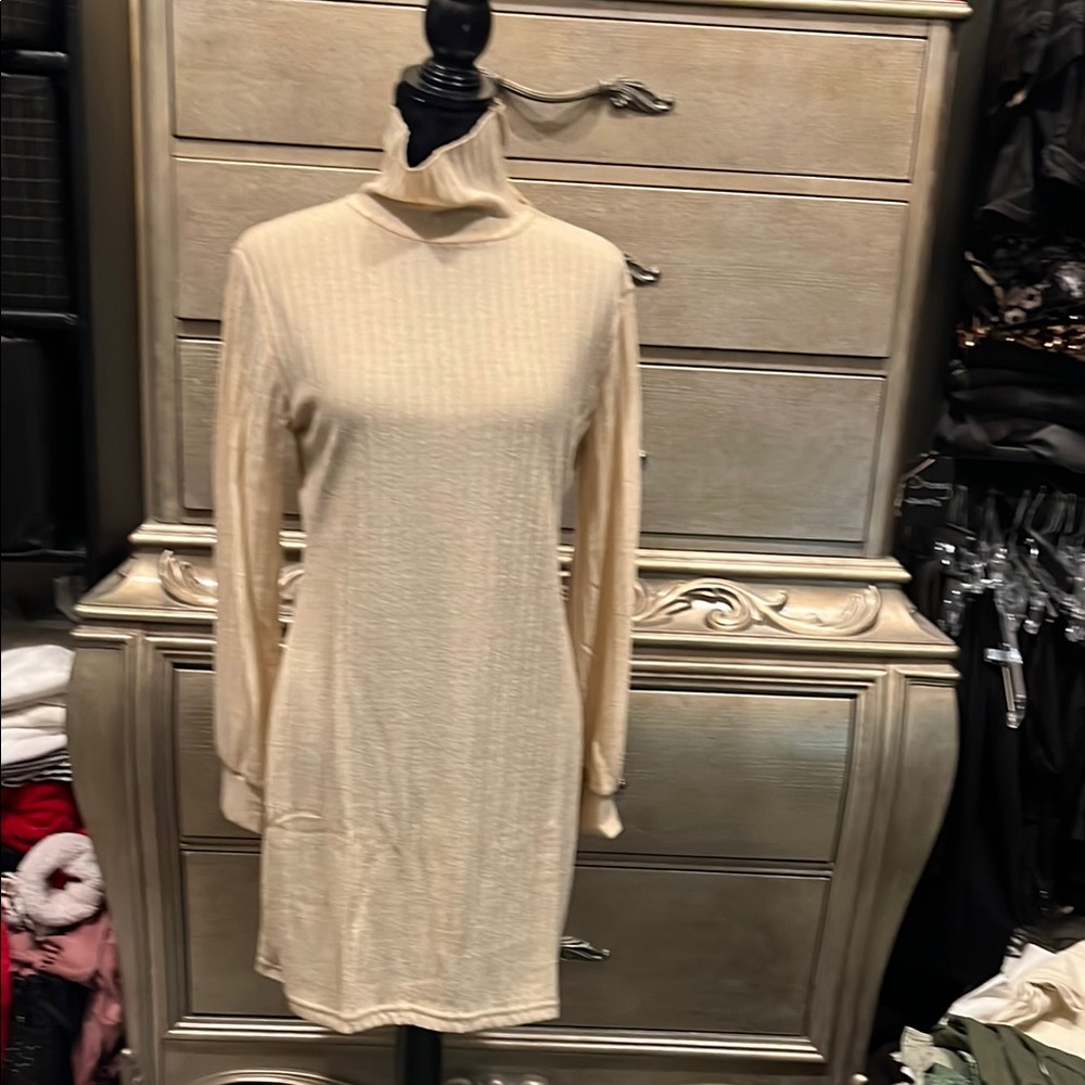 Elegant Cream Turtleneck Dress